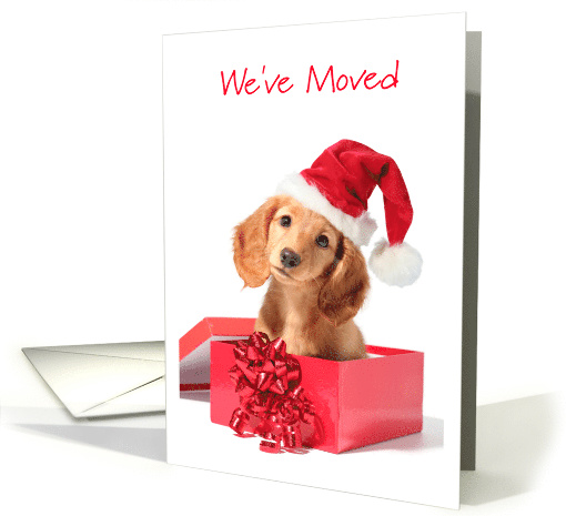 We’ve Moved Christmas Card With Cute Dog